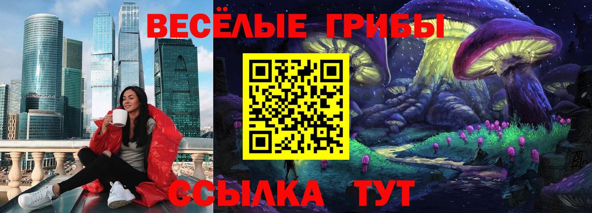 купить наркотик  Псилоцибиновые грибы мицелий  Вход с VPN  Ртищево 